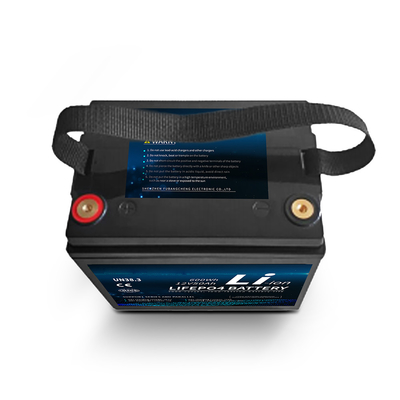 batterie portative du lithium lifepo4 de certificat de la CE de la puissance MSDS de paquet de 12V 50ah pour le camion